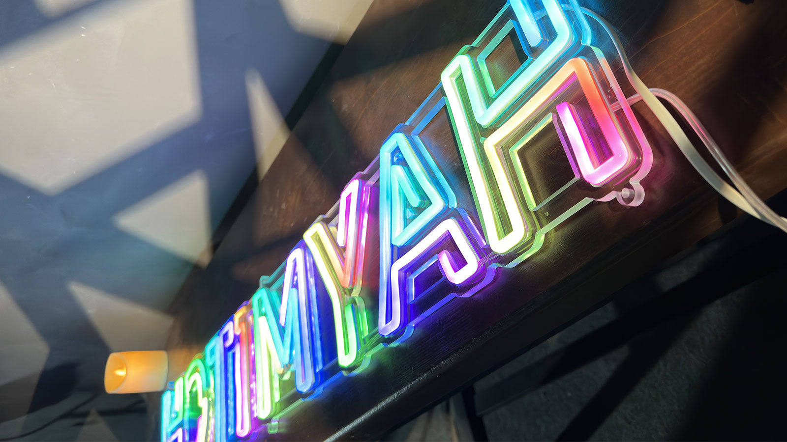 LED Neon Sign in 12 colors and color changing LED Neon