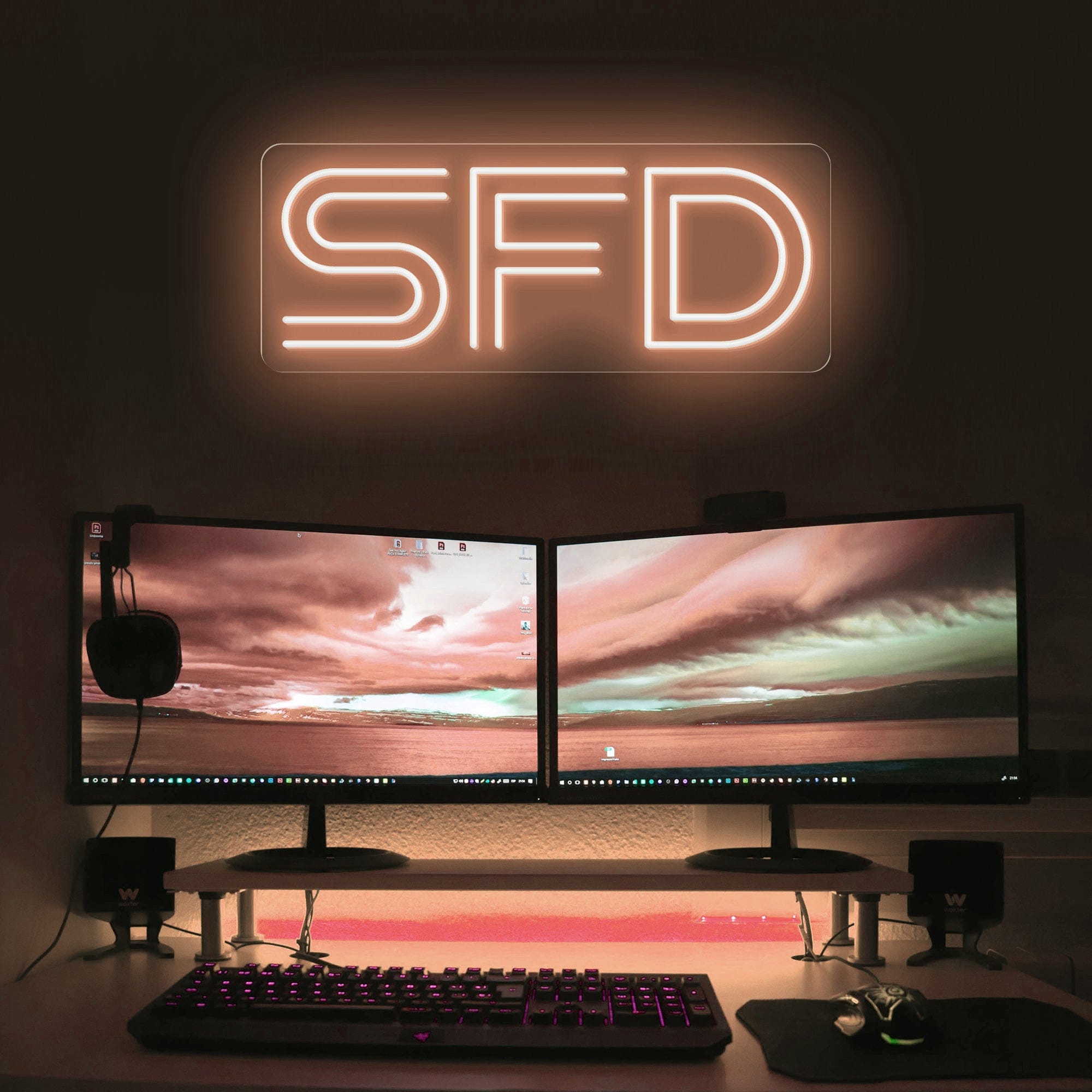 SFD Software Fault Detection LED Neon Sign