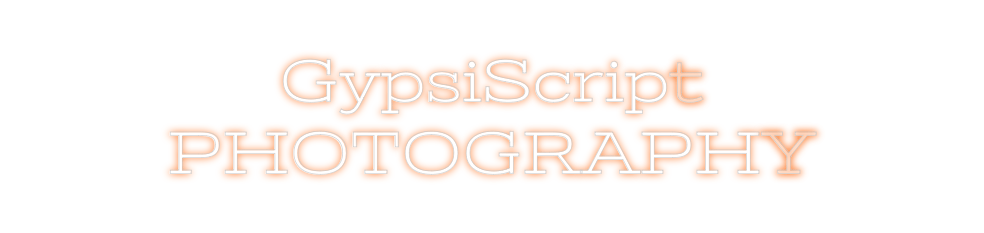 Design Your Own Sign GypsiScript
P...