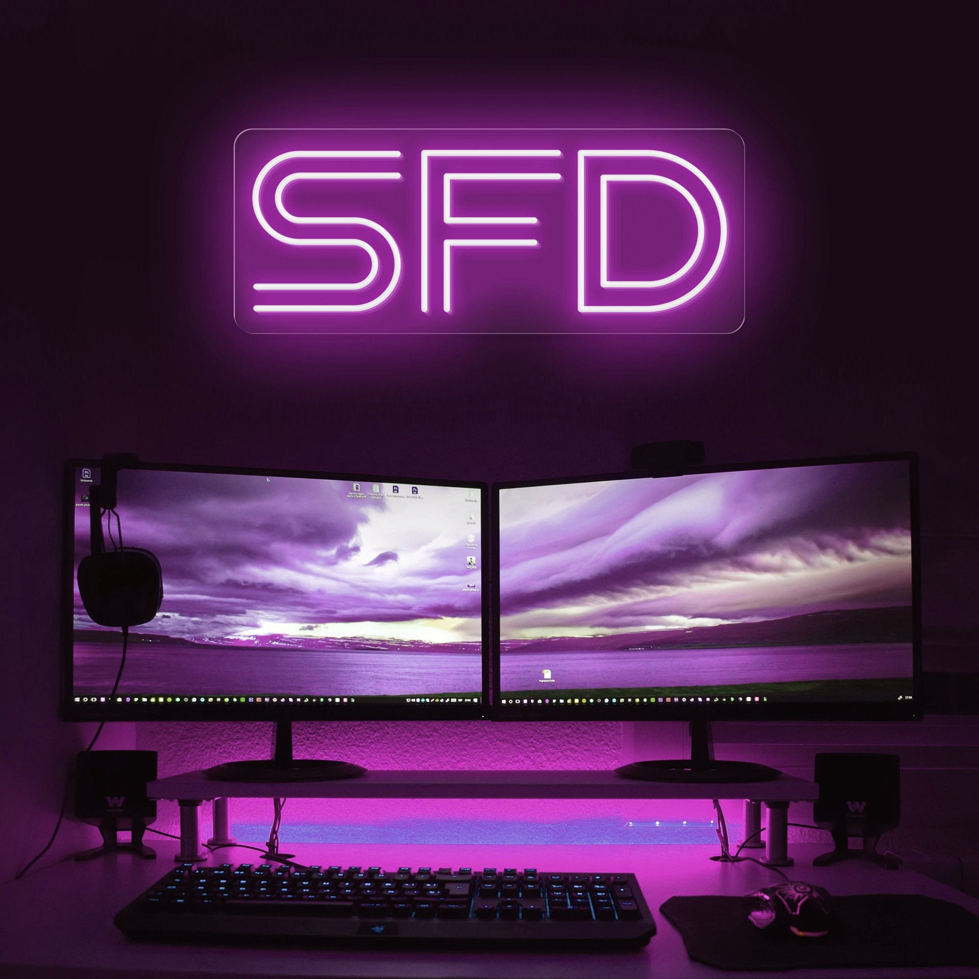 SFD Software Fault Detection LED Neon Sign