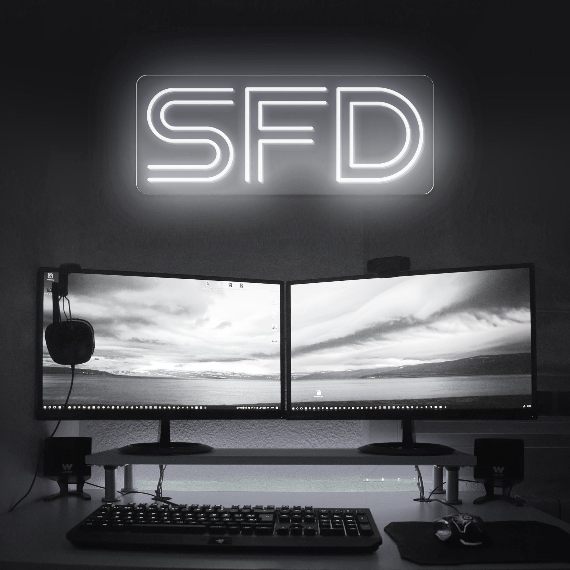 SFD Software Fault Detection LED Neon Sign