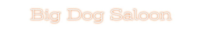 Design Your Own Sign Big Dog Saloon