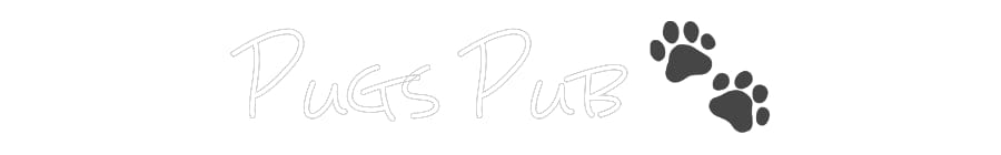 Design Your Own Sign Pugs Pub 🐾