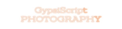 Design Your Own Sign GypsiScript
P...